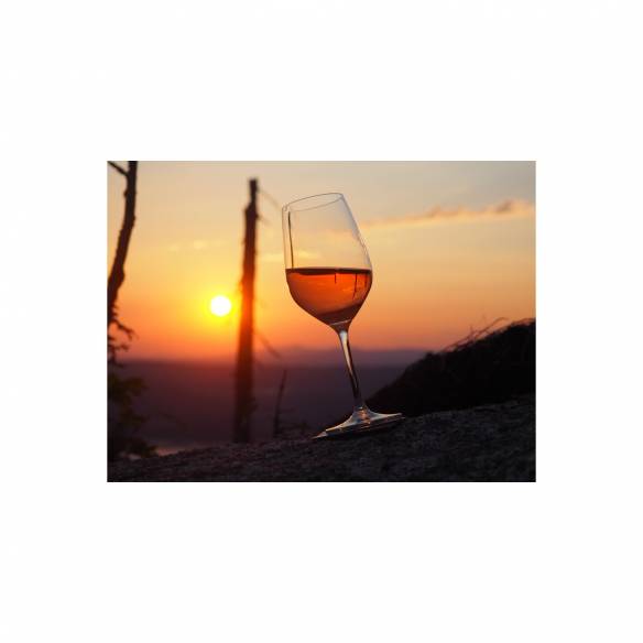 Set de 2 copas de vino magnéticas Silwy RG-918471