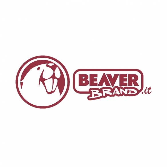 Juego de 6 portavasos con muelle BEAVER BRAND RG-915572