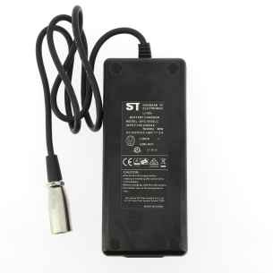 Cargador de batería para bicicleta eléctrica  RG-EQ118150 2