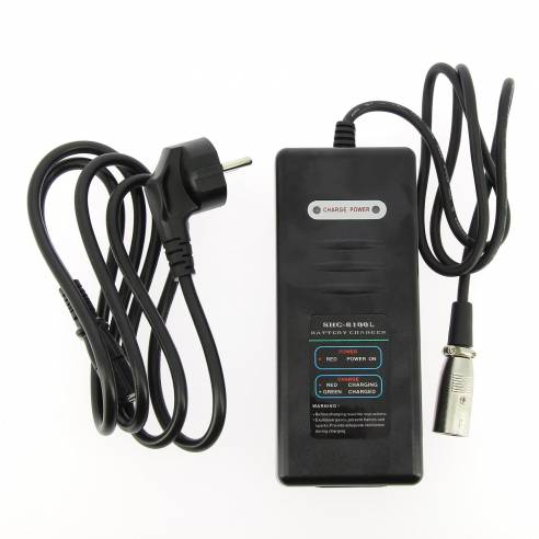 Cargador de batería para bicicleta eléctrica  RG-EQ118150