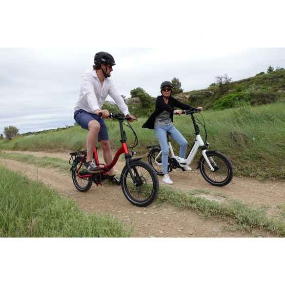 Bicicleta plegable de asistencia eléctrica MUZY VEPLI RG-156123