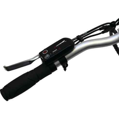 color Oro E-scape RG-152194JC