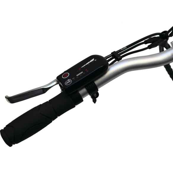 color Oro E-scape RG-152194JC