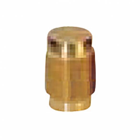 Tapón para válvula Truma RG-441143