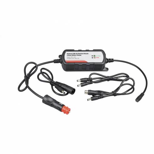 Cargador de batería de bicicleta eléctrica de 36 Eza RG-153132