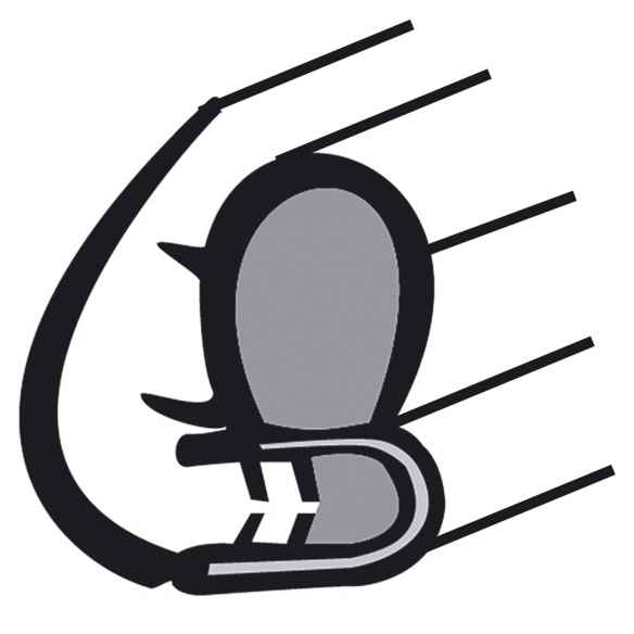 Junta de puerta  RG-291479