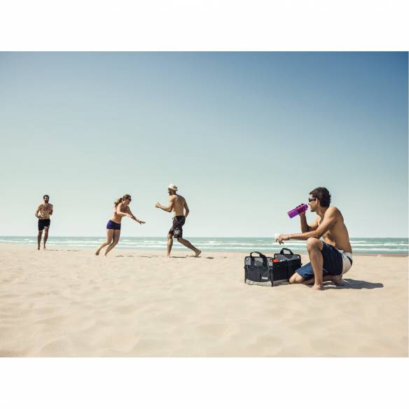 Gestión de carga Go Box Thule RG-594333