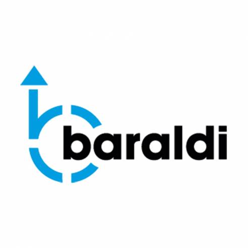 Panel de aluminio para la campana Baraldi RG-212124