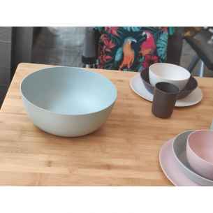 Ensaladera Incasa RG-915566 2