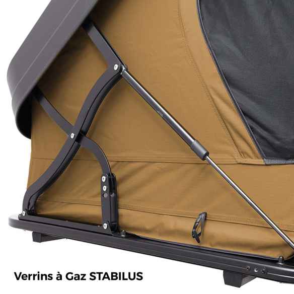 Modelo : 160 - Color : Camel VickyWood RG-880841