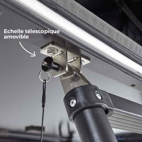 Modelo : 160 - Color : Camel VickyWood RG-880841