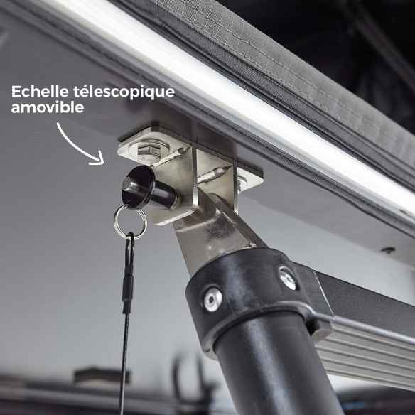 Modelo : 160 - Color : Camel VickyWood RG-880841