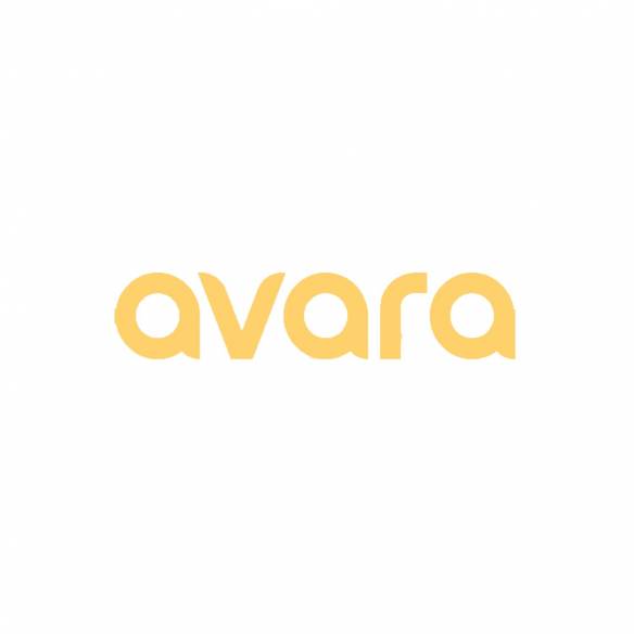 Llaveros electrónicos (x2) Avara RG-427274