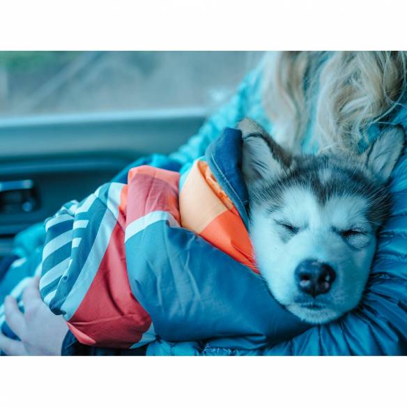 Manta para mascotas Camp Vibes Two Voited RG-073815