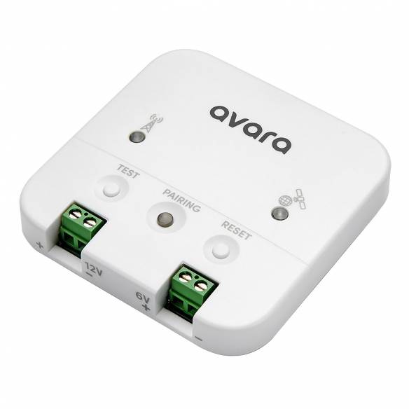 Lite Avara RG-427202