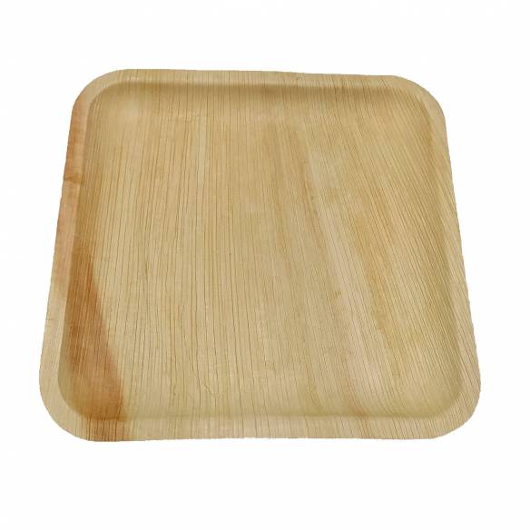 10 platos reutilizables ArecaBIO RG-916582