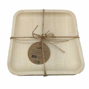 10 platos reutilizables ArecaBIO RG-916582 2