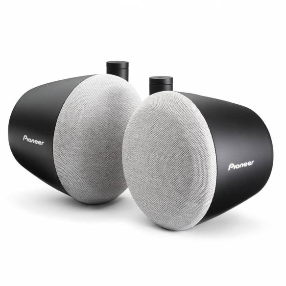 Altavoces satélite Pioneer RG-104865