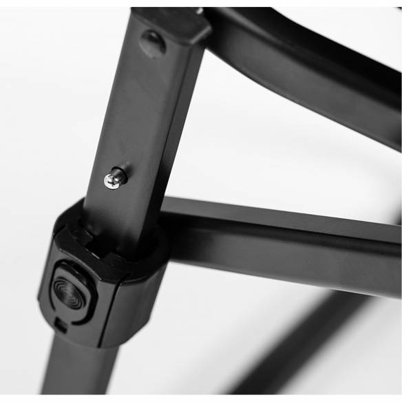 Silla de camping del director VickyWood RG-074828