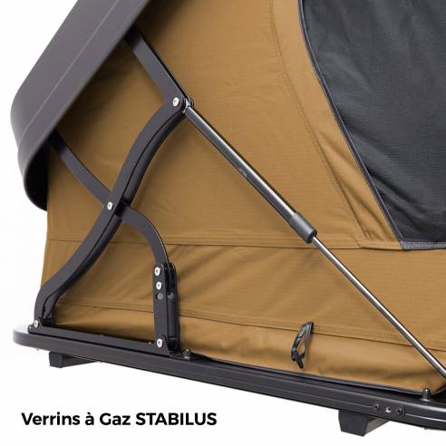 Colores: Camel VickyWood RG-881986