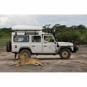 Pequeño color carbono Autohome RG-884852 2