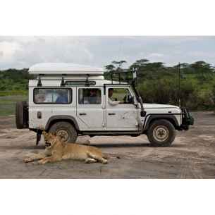 eco Small color gris Autohome RG-884873 2