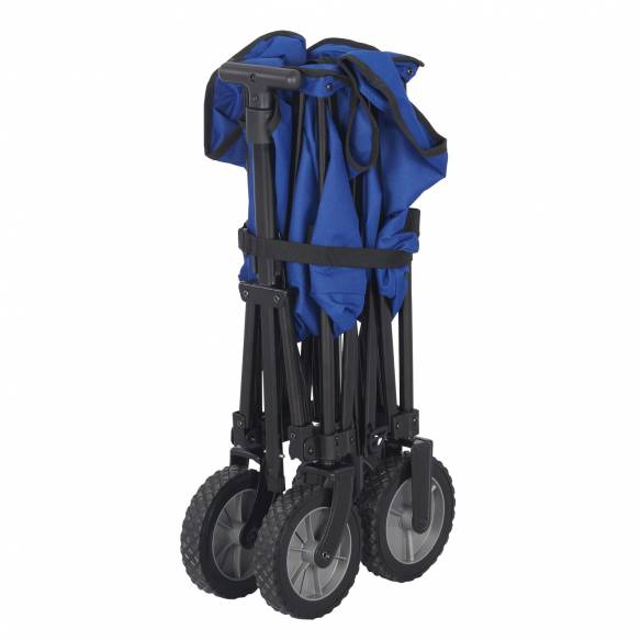 Carro Trolley  RG-073823