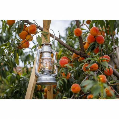 Lámpara de tormenta Baby Special 276 Feuerhand RG-791479