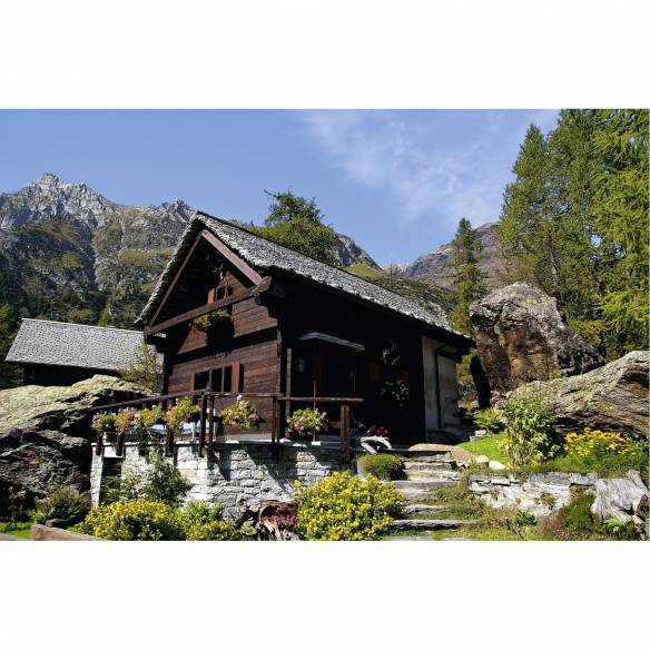 Cargador de batería portátil ultrarrápido Bullpower RG-653386