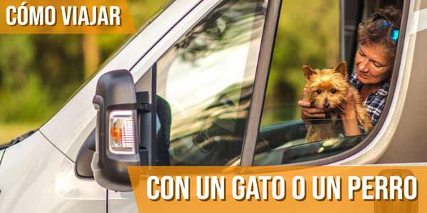 ¿Cómo se viaja con un gato o un perro en una autocaravana?